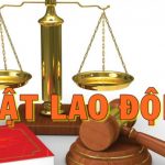 Hỏi đáp về pháp luật lao động