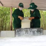 Chuyển đổi xanh đồng bộ và hiệu quả