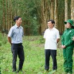 Cao su Chư Mom Ray vể trước kế hoạch sản lượng 33 ngày