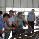 Mở rộng sản xuất sản phẩm cao su hỗn hợp trong năm 2024