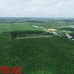 IRRDB thảo luận về COP28