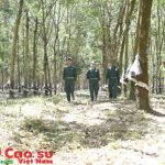 Những chuyến đi làm đẹp cuộc đời