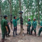 Ánh sáng mới nơi buôn làng