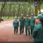 Nông trường Bến Củi, Cao su Tây Ninh về trước kế hoạch 45 ngày
