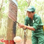 Bản lĩnh vượt khó