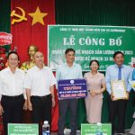 Các công ty khu vực Tây Nguyên: Tạo đà cho cuộc đua năng suất vườn cây