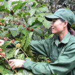 Kinh tế gia đình - chìa khóa nâng cao đời sống