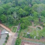 Cao su Bình Long: Phát triển bền vững vì môi trường và cộng đồng