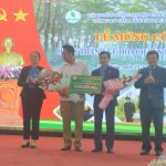 Các công ty cao su miền núi phía Bắc: Ổn định việc làm, nâng cao thu nhập lao động bản địa