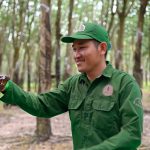 Ước mong năm mới giá mủ cao su khởi sắc để người lao động có thu nhập tốt hơn