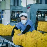Giá cao su tự nhiên có chuẩn bị phá vỡ xu hướng?