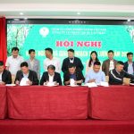 Cao su Lai Châu quyết tâm khai thác hơn 7.140 tấn mủ trong năm 2024