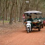 Chư Sê - Kampong Thom: Mùa chim yến làm tổ