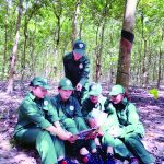 Vững bước tiến lên !