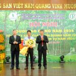 Các công ty cao su Đông Nam bộ: Tiếp tục phát triển toàn diện