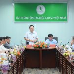 VRG phải đổi mới theo xu hướng thị trường