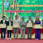 Cao su Nghệ An: Đặt mục tiêu tăng trưởng 30% trong năm 2024