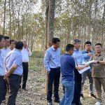 Tỉnh Điện Biên chấp thuận chủ trương đầu tư Nhà máy chế biến mủ Cao su Điện Biên