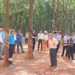 VRG phát triển nông nghiệp xanh, bền vững