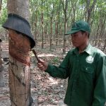 Sáng kiến dùng lưỡi lam máy cắt cỏ chế tạo nhiều dụng cụ, mang lại hiệu quả cao