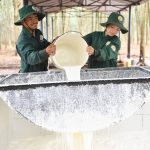 Cao su Việt Lào: Nhiều giải pháp đảm bảo hiệu quả cao