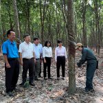 Lãnh đạo VRG thăm hỏi, động viên công nhân Cao su Phước Hòa