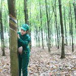 Ảnh dự thi Ánh sáng từ dòng vàng trắng lần thứ VI - Năm 2024