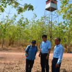 Những người thầm lặng giữ cho vườn cây bình yên