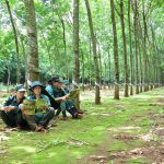 Giổ tổ Hùng Vương và con Lạc cháu Hồng