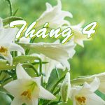Những mùa hoa tháng Tư