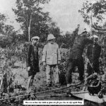 Cây cao su ở Việt Nam dưới góc nhìn Lịch sử - Sinh thái (1897 - 1975)