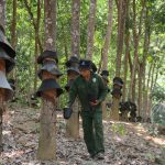 Sẵn sàng cho mùa cạo mới