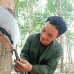 Cao su Quasa Geruco: Linh hoạt vượt khó hoàn thành nhiệm vụ
