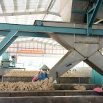 Sản xuất mủ Mix, hướng đi chiến lược của Cao su Kon Tum