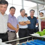 Cao su Dầu Tiếng: Tiềm năng phát triển nông nghiệp công nghệ cao