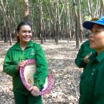 Nữ công nhân ưu tú ở cao su Kon Tum