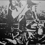 Cây cao su ở Việt Nam dưới góc nhìn Lịch sử - Sinh thái (1897 - 1975)