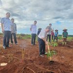Cao su Bà Rịa ra quân tái canh năm 2024