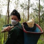 Ánh sáng từ dòng vàng trắng lần thứ VI - năm 2024