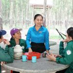 Cao su Phước Hòa: Chăm lo tốt đời sống công nhân đồng bào dân tộc thiểu số