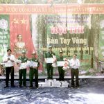 Đội sản xuất Cao su Thanh niên, Cao su Sa Thầy: Đổi mới và thành công