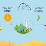 Mô hình thị trường carbon của Trung Quốc có thể định hướng cho các nền kinh tế mới nổi
