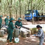 Nước rút khắp vườn cây, nhà máy