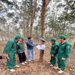 Cao su Điện Biên sẵn sàng cho Hội thi Bàn tay vàng thu hoạch mủ cao su lần thứ XIV năm 2024