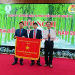 Cao su Nghệ An kiên định mục tiêu phát triển bền vững