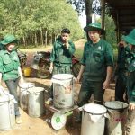 Cao su Đồng Phú: Tinh gọn bộ máy theo mô hình quản lý 2 cấp, nâng cao hiệu quả hoạt động