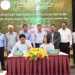 Cao su Dầu Tiếng nâng cấp phần mềm truy xuất nguồn gốc sản phẩm