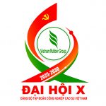 Biểu trưng Đại hội Đảng bộ VRG kết tinh hài hòa giữa chính trị, nghệ thuật, thời đại