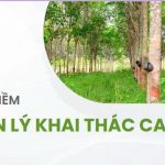 Trường Cao đẳng Miền Đông xây dựng và chuyển giao Phần mềm “Quản lý khai thác Cao su”